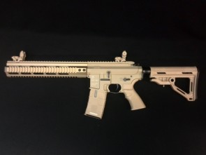 PAR MK3 Full Rail MTR