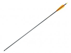 Puščica za lok 30" Carbon