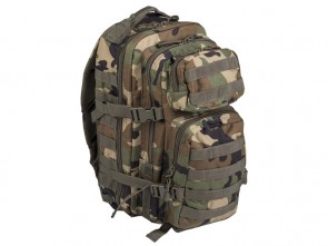 Nahrbtnik US Assault 20L Woodland