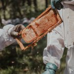 Čebelarska tehtnica in njene poglavitne funkcije