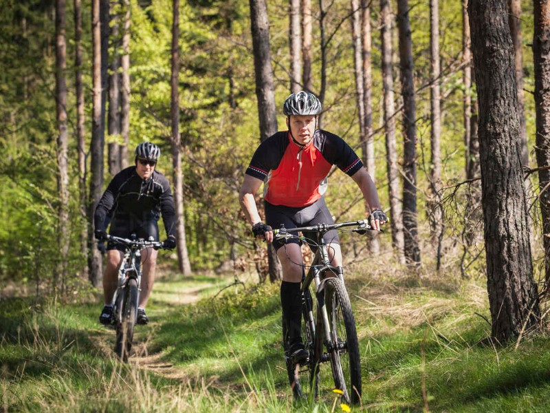 gorsko kolo za vožnjo po gozdnih, gorskih ali drugače bolj razgibanih poteh
