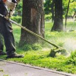 Kdaj kupiti bencinsko kosilnico na nitko?