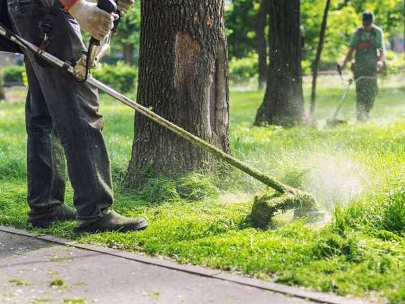 bencinska kosilnica na nitko